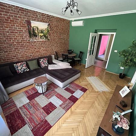 Asha Central Apartment 蒂米什瓦拉 外观 照片