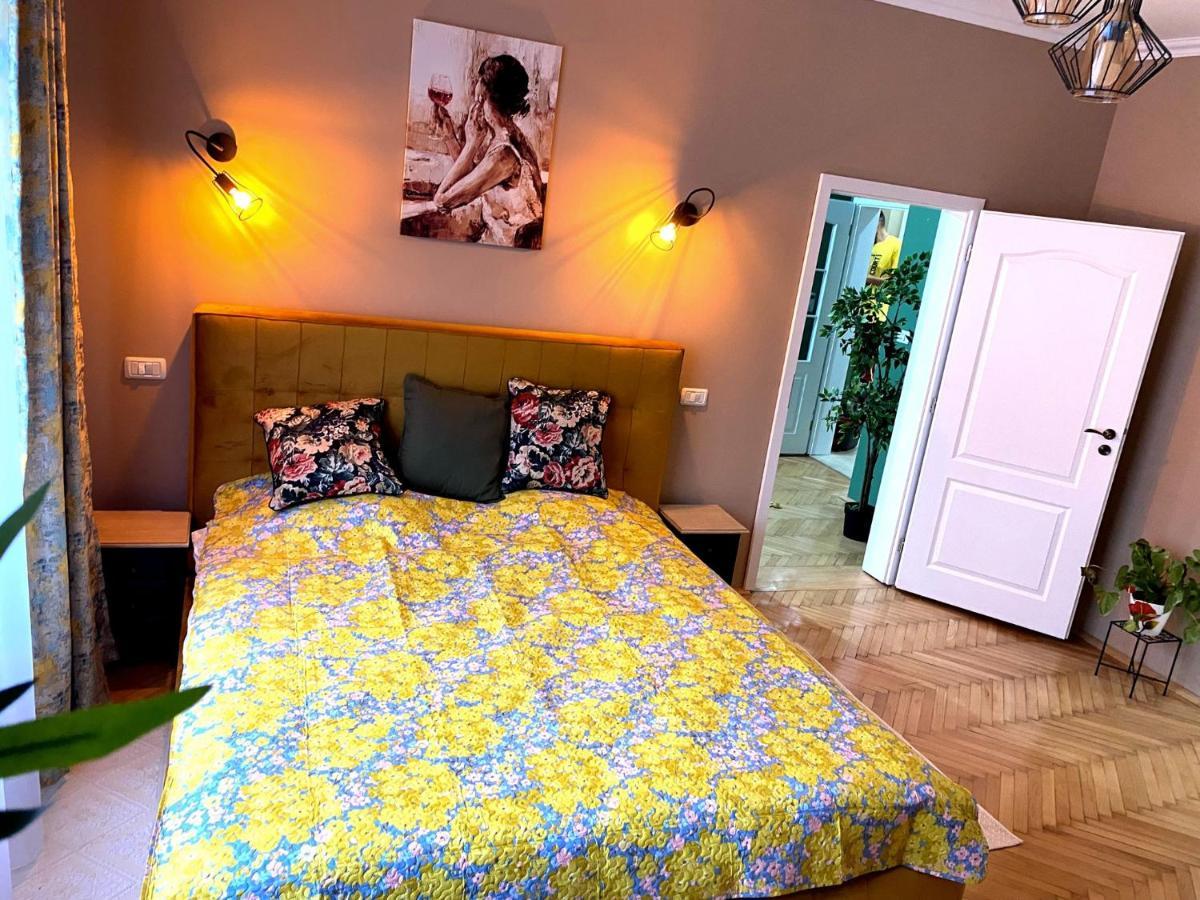 Asha Central Apartment 蒂米什瓦拉 外观 照片