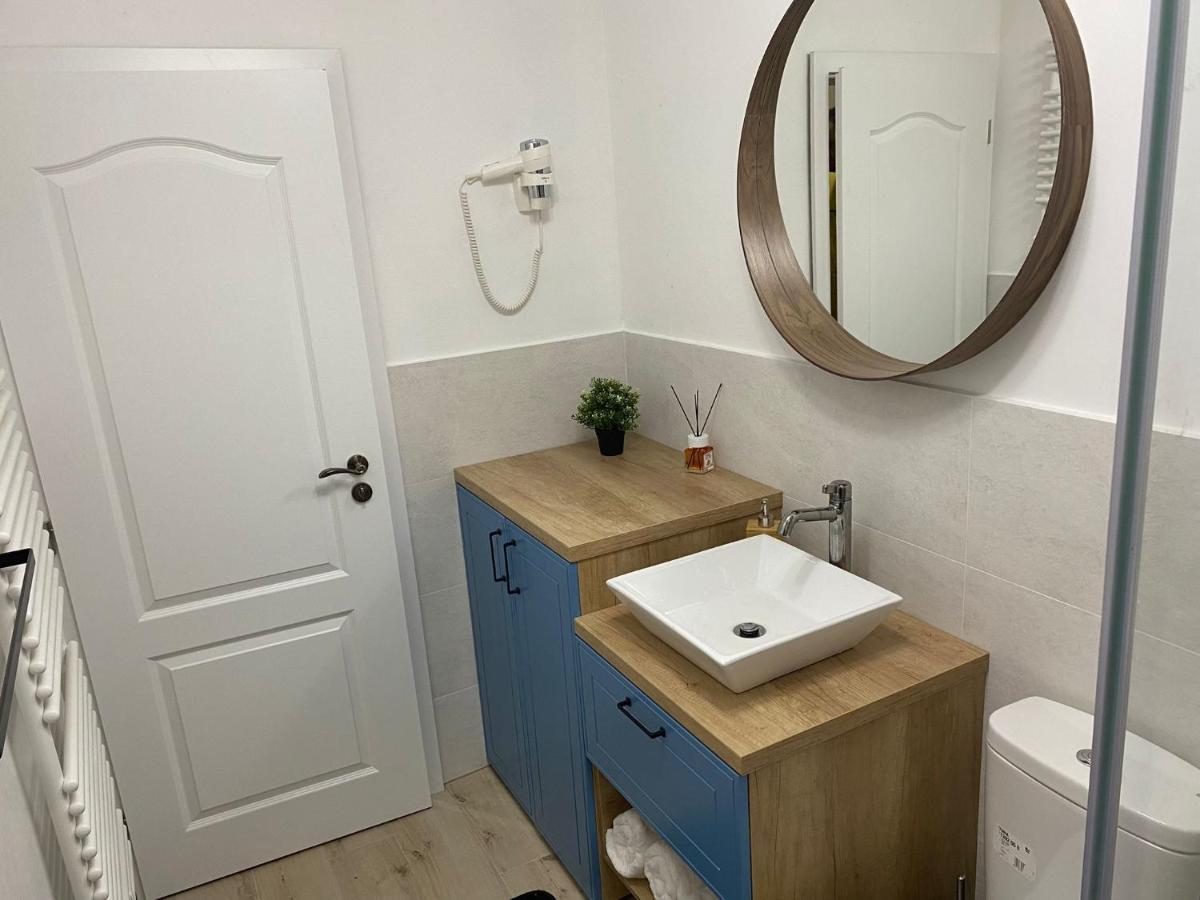 Asha Central Apartment 蒂米什瓦拉 外观 照片