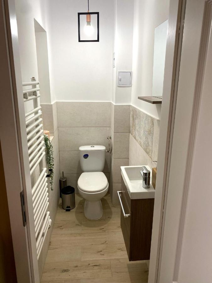 Asha Central Apartment 蒂米什瓦拉 外观 照片