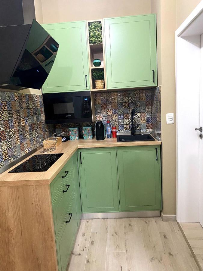 Asha Central Apartment 蒂米什瓦拉 外观 照片